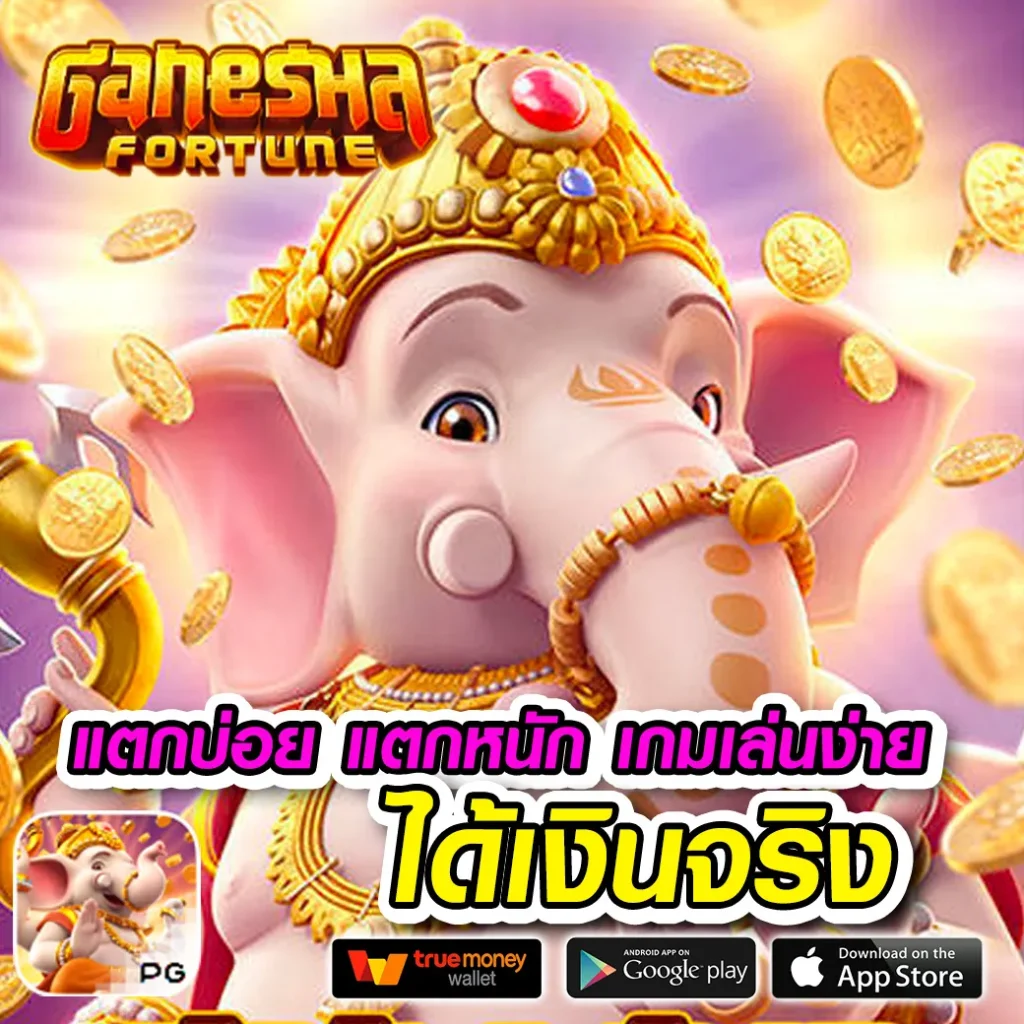 pgcat 555 thai